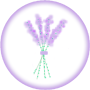 Aromathery Image Aromatherapy